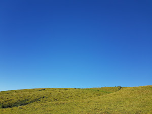 Looking for a new challenge in Europe. Faial-Horta-Azores