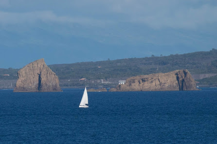 Vous pensiez avoir trouvé le candidat idéal… Mais qu’en est-il pour vrai?