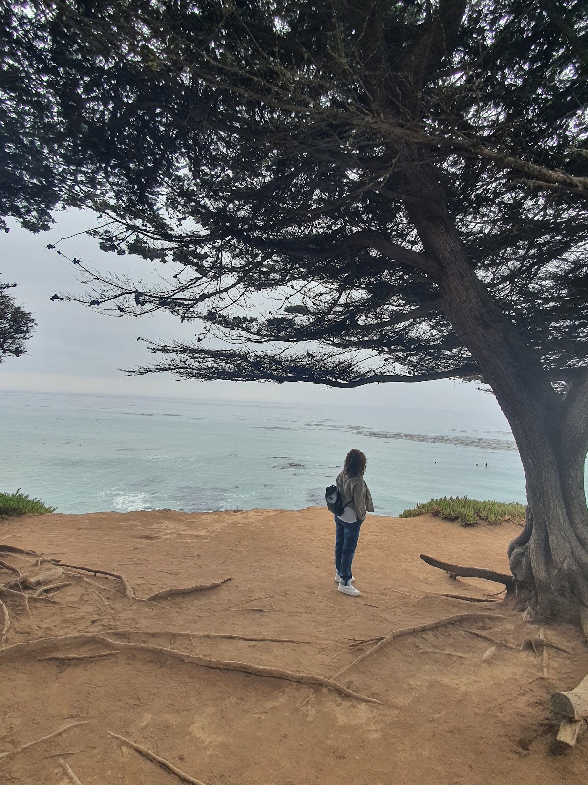 GS and the pacific Gina Savoie