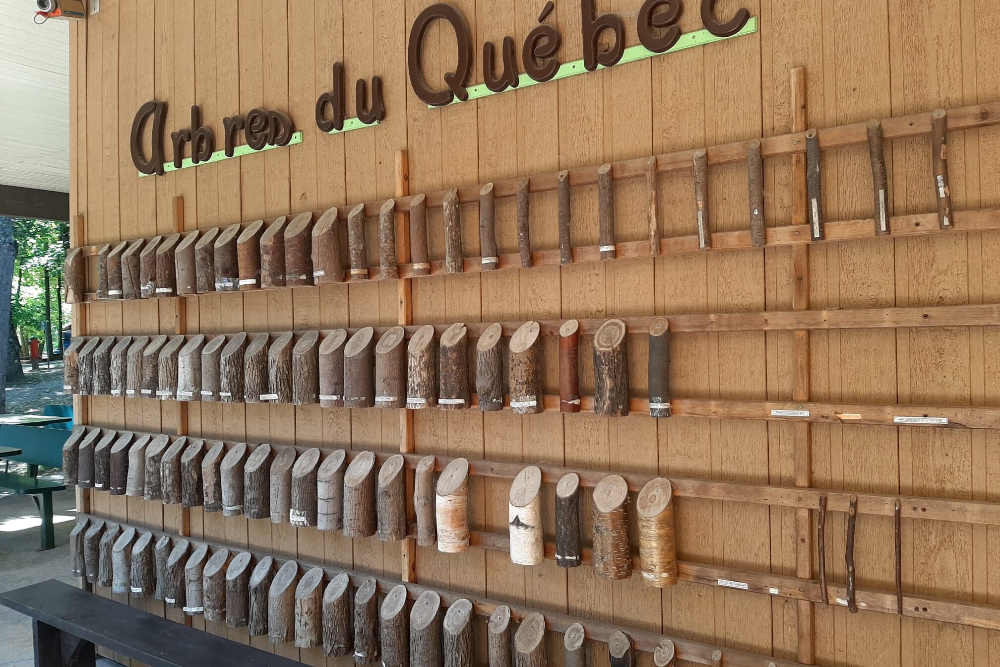 Une nouvelle classe de citoyens ?