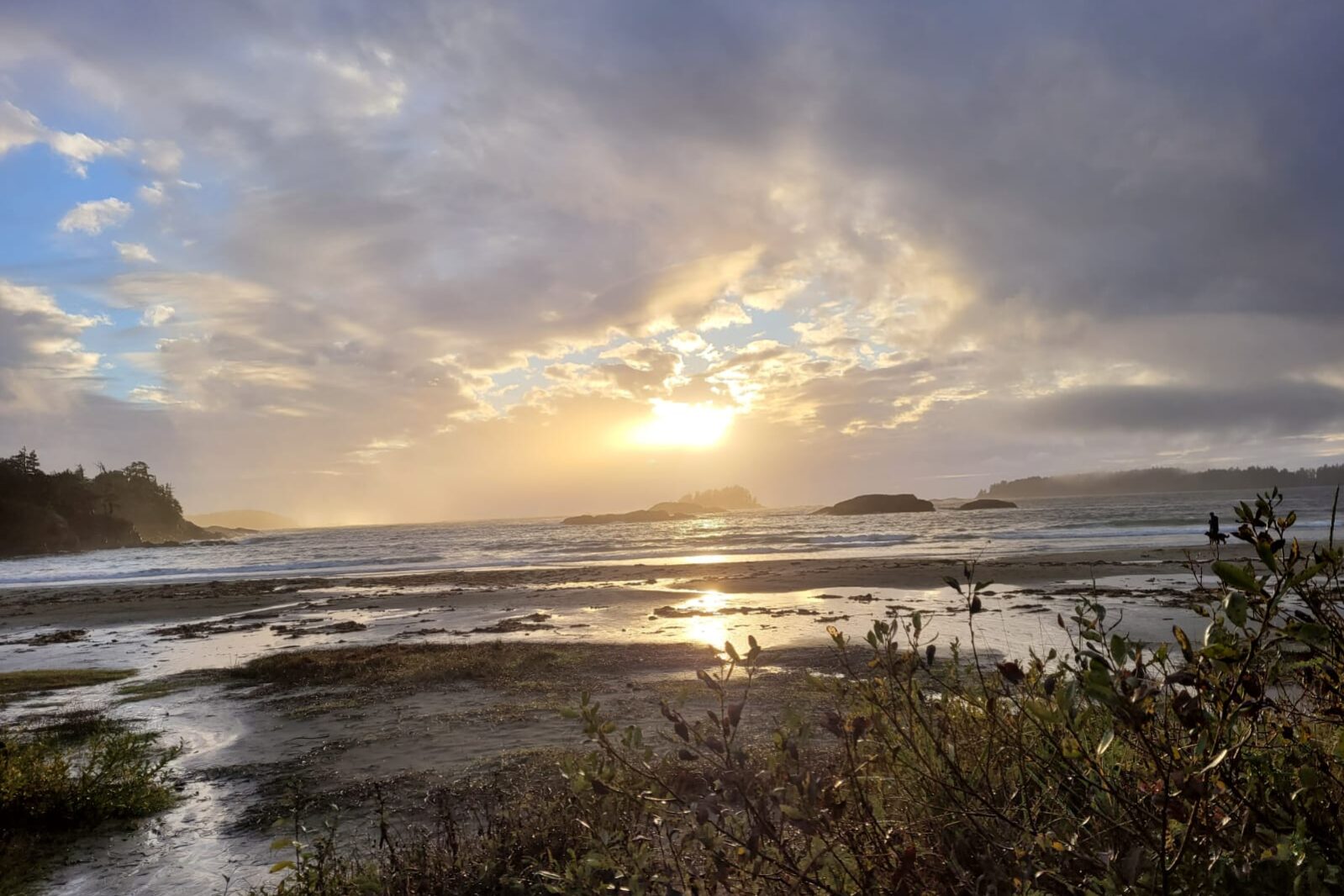 Contre-espionnage d'entreprise