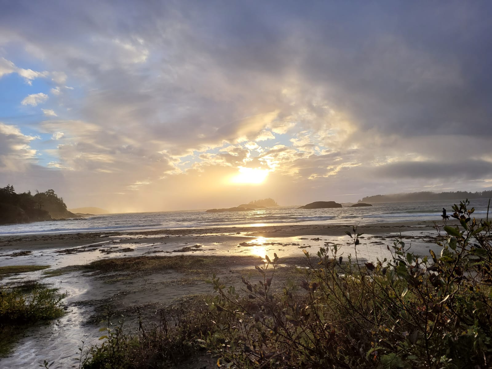 Contre-espionnage d'entreprise