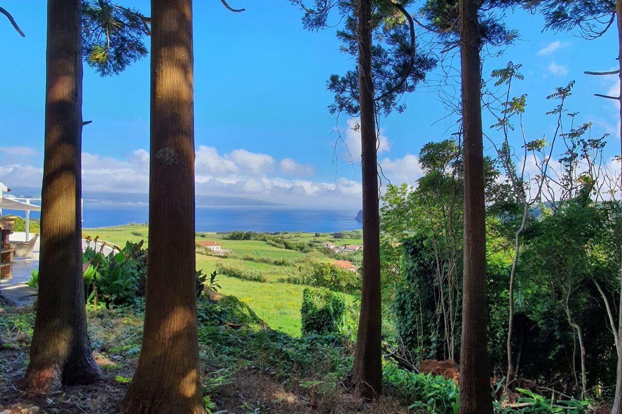 Corporate Intelligence / Renseignement d’affaires