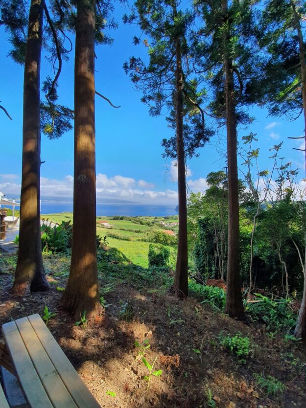 Corporate Intelligence / Renseignement d’affaires